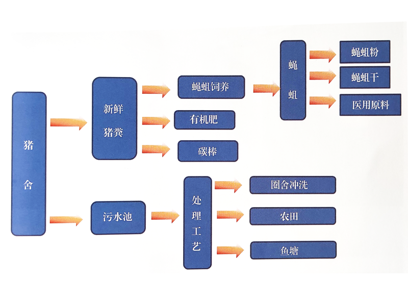 畜禽糞便資源化利用之豬場(chǎng)糞水回用和豬糞養(yǎng)蛆