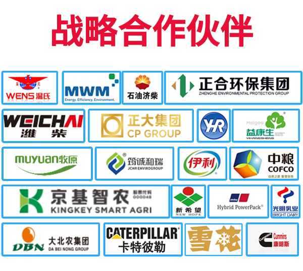 山東誠星新能源科技有限公司