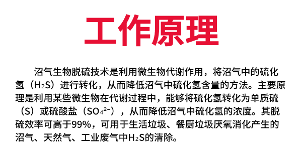 山東誠星新能源科技有限公司