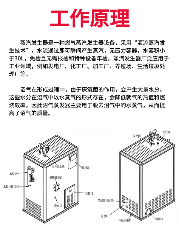 山東誠星新能源科技有限公司